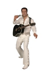 Elvis in Person